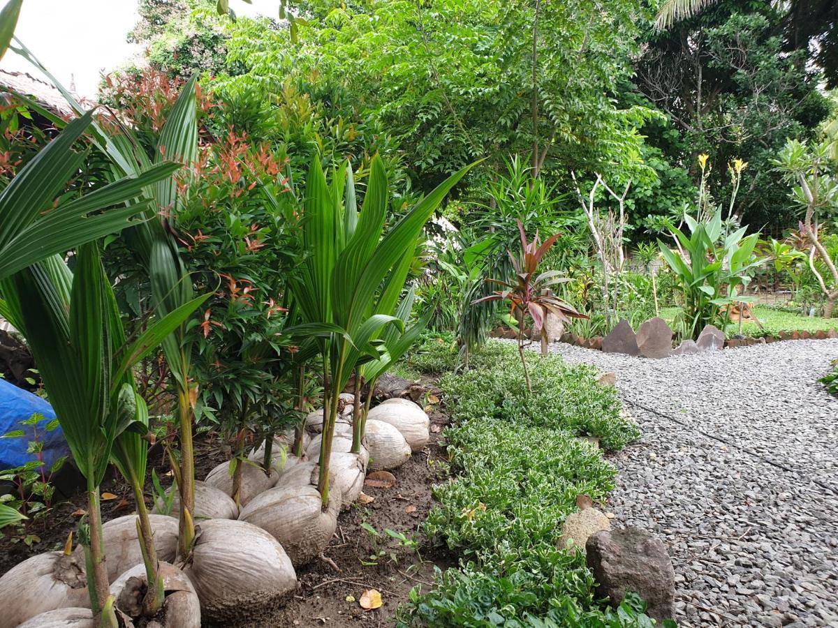 Same Same Bungalows - Eco Friendly Kuta  Exterior foto